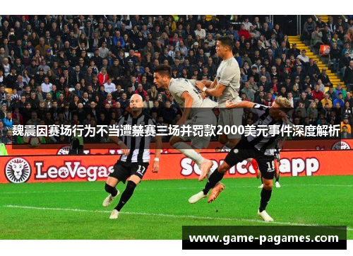 魏震因赛场行为不当遭禁赛三场并罚款2000美元事件深度解析