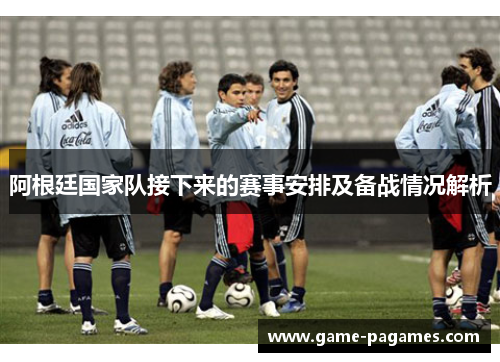 阿根廷国家队接下来的赛事安排及备战情况解析