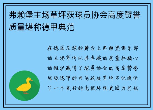 弗赖堡主场草坪获球员协会高度赞誉质量堪称德甲典范